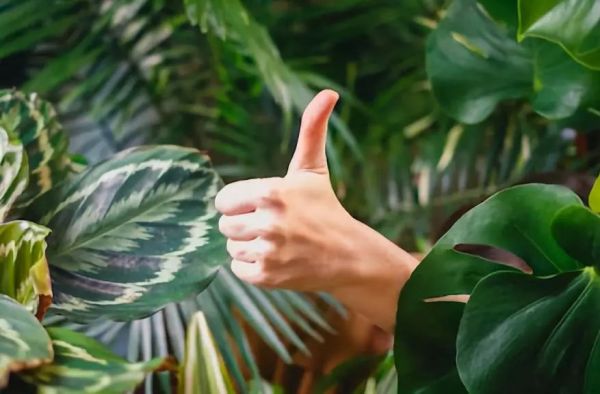 如何成为创业高段位选手,这12个技能值得修炼