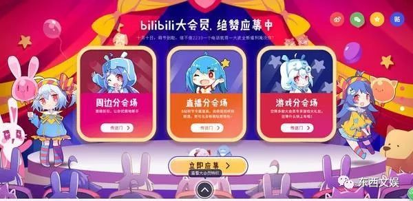 上市一年,B站年轻人的故事将如何继续?