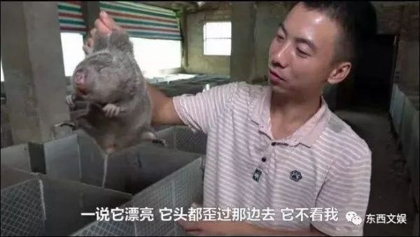 上市一年,B站年轻人的故事将如何继续?