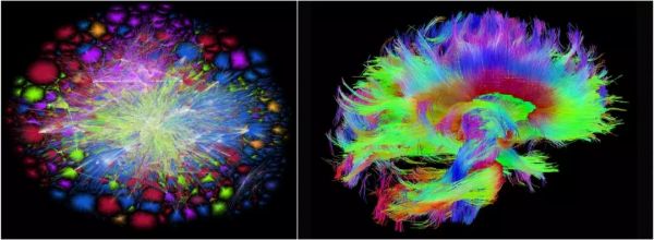 对话晨兴资本张斐：我们仍处于互联网早期