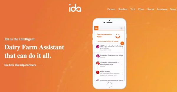 微软员工辞职养奶牛,智能农业为何走俏?