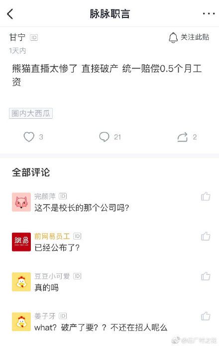 熊猫直播或于3月18日关服务器,官方尚未回应