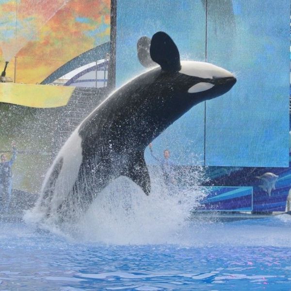 AI筛查自闭症起源突变基因,还能解锁你的艺术细胞?