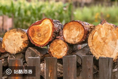 先提升行业效率,再切供应链金融,「真木网」为贸易商提供木材 B2B 平台