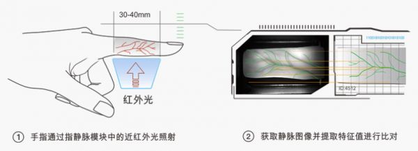 指纹、人脸识别不够安全,「燕南科技」指静脉识别瞄准高安全场景