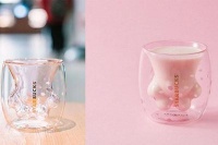 买猫爪杯的第n个理由：揭秘星巴克真正的底层逻辑