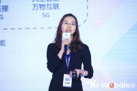 洪泰基金金海燕：做科技的信徒，并回归商业本质—投资人视角下的人工智能2019