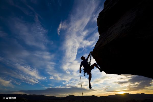 像动物一样行动,像植物一样思考