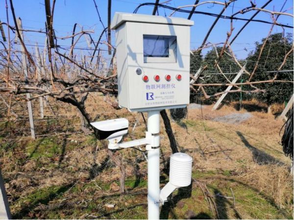 这个 70 岁老头要用区块链技术种工业大麻