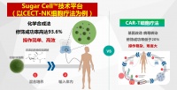 36氪首发 | 专注糖化学细胞治疗，「诺康得NKD」完成500万天使轮融资