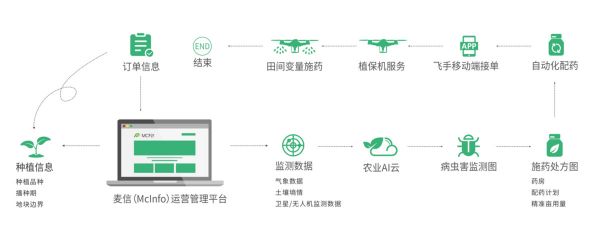 36氪首发 | 视觉光谱监测农作物生长信息,「麦飞科技」获过亿元A轮融资
