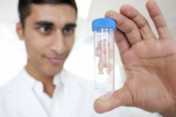 提供私人订制赴美“送子”服务,「格莱宝美孕」想让女性生育能力不再有“保质期”