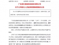 团贷网唐军自首，揭开背后上市公司200亿资本迷局