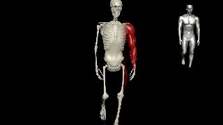 “数字虚拟人”堪比真人,「原力动画」首次公开硬核科技