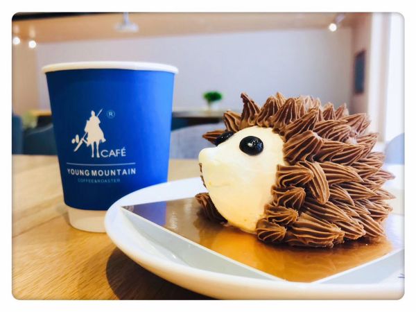 36氪首发 | 想帮你“用喜欢的方式过一生”,「刺猬」获东方富海数千万元 A 轮融资