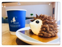 36氪首发 | 想帮你“用喜欢的方式过一生”，「刺猬」获东方富海数千万元 A 轮融资