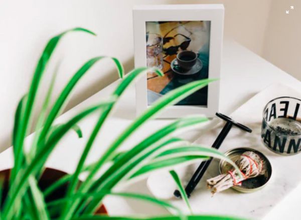 视觉中国鲸吞版权市场?「像素蜜蜂」想却要让版权和激励全部回归创作者