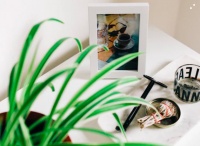 视觉中国鲸吞版权市场？「像素蜜蜂」想却要让版权和激励全部回归创作者