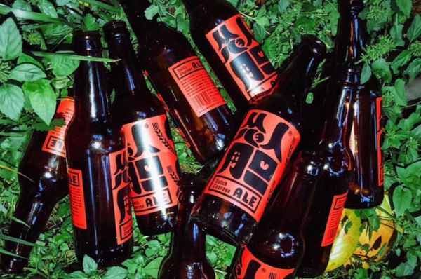 36氪首发 | 从文化消费场景切入市场,精酿啤酒品牌「怂人胆」获百万元天使轮融资