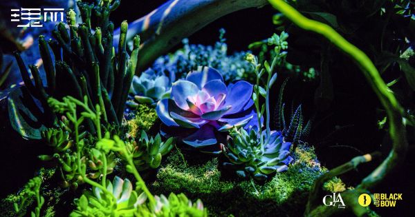 和 AI 互动绘制千里江山,看洛神仙姿,「瑰丽」国风沉浸艺术展的黑科技和商业空间