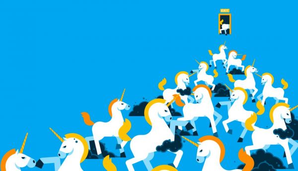 “赔钱”的独角兽:融最多的资,烧最快的钱