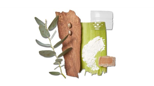 “世界上最舒服的鞋”Allbirds 进入中国, 外来品牌如何念好本地经?| DTC in China ①