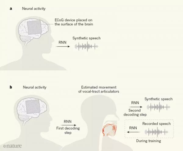 Nature重磅:华裔科学家成功解码脑电波,AI直接从大脑中合成语音