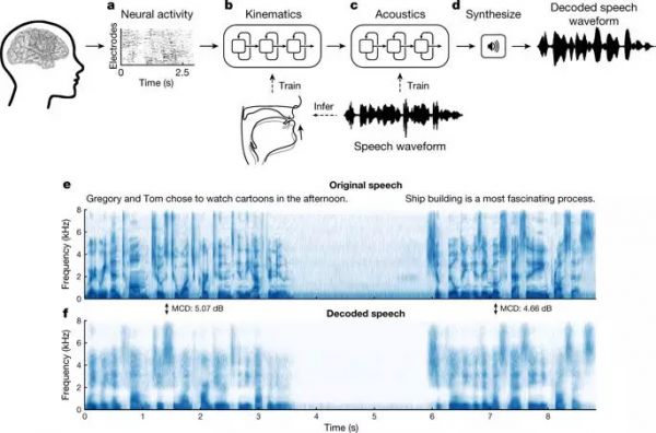 Nature重磅:华裔科学家成功解码脑电波,AI直接从大脑中合成语音