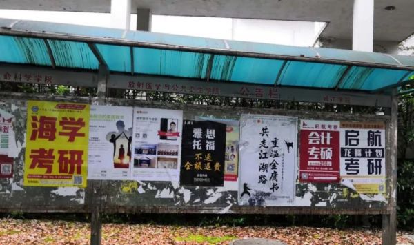 百亿考研市场,和那些被收割的考研人