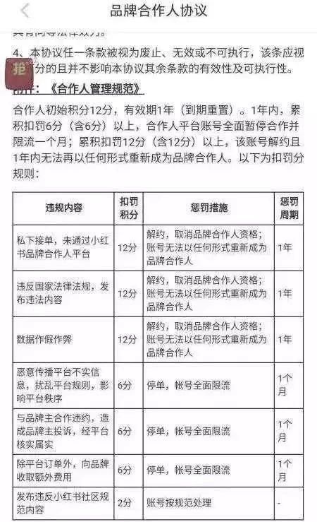小红书清洗KOL背后:种草社区陷信任危机,进军电商尚未盈利