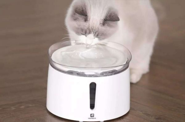 宠物智能硬件尚处蓝海,「霍曼科技」认为持续研发迭代是关键