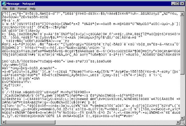 感染 6 种最危险病毒的笔记本电脑，卖出了 120 万美元