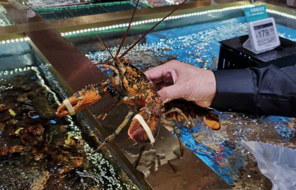 最前线丨京东7FRESH超市生变，不再局限自己开店