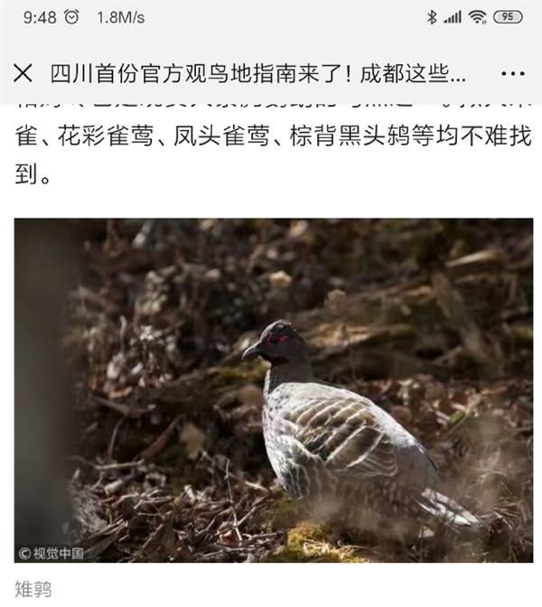 视觉中国复出后再惹争议:裁掉摄影师图片水印牟利