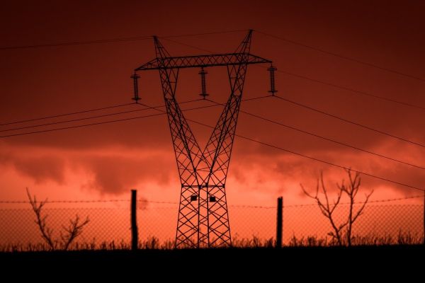 时隔2.5亿年,地球生物再次进入“大灭绝”