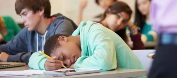 教老师编程、实现“水果自由”、用无人机修无人机,硅谷初创公司都在捣鼓些啥?