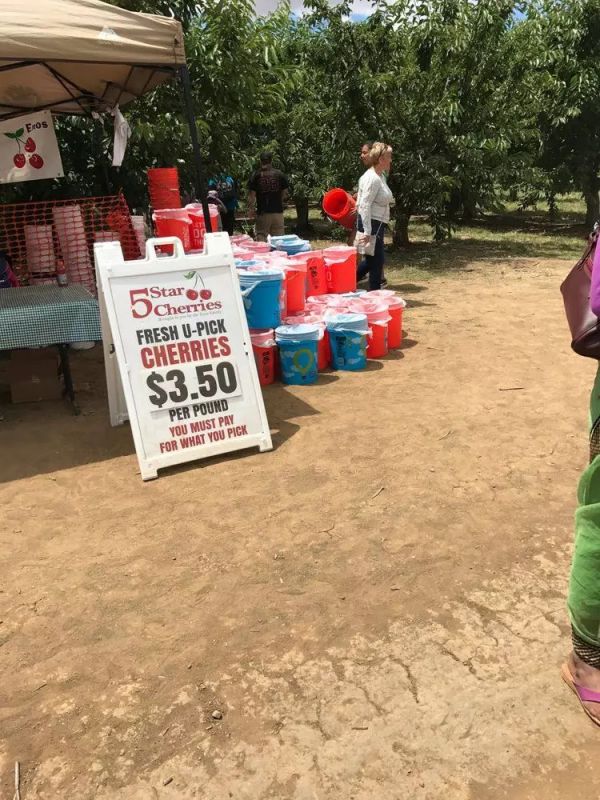 教老师编程、实现“水果自由”、用无人机修无人机,硅谷初创公司都在捣鼓些啥?