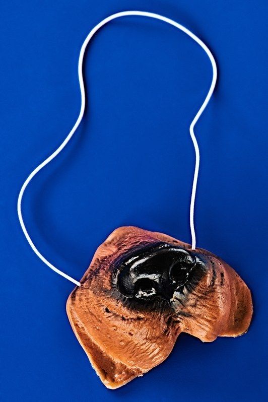 深度长文:如何让机器人拥有像狗一样的嗅觉?