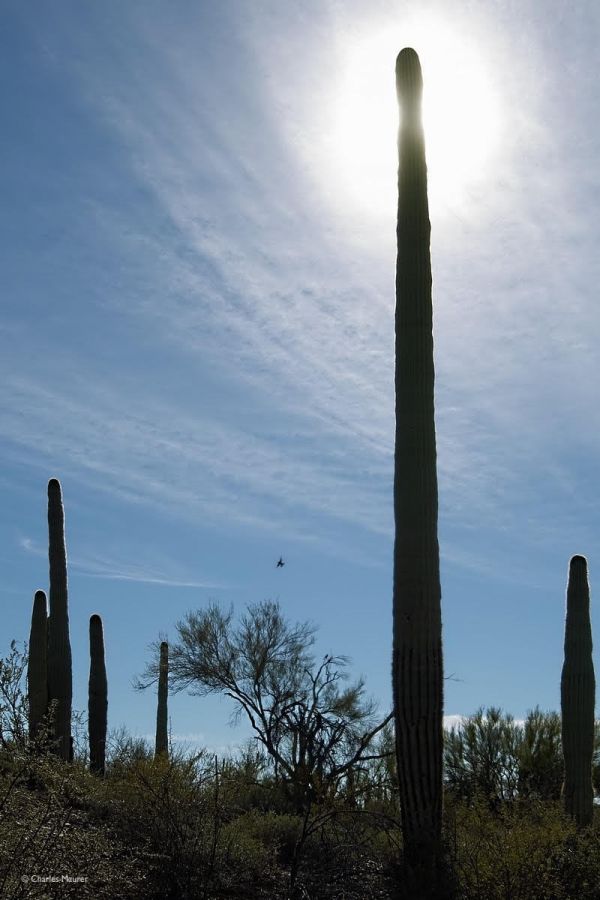 iOS 夜间模式的“黑暗面”:你的眼睛真的会适应它吗?