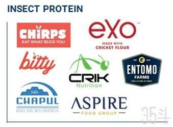 全球900亿美元肉类市场,人造肉如何突出重围?