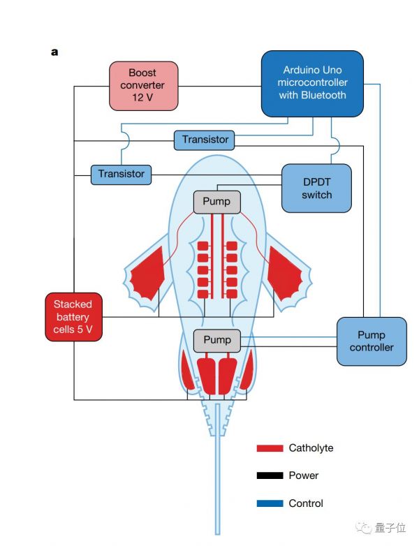 机器“血液”登上Nature：一条假鱼靠它续航36小时，无需固态电池