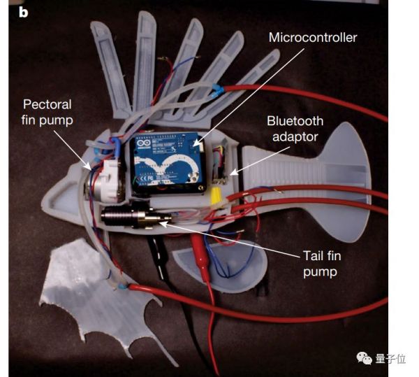 机器“血液”登上Nature：一条假鱼靠它续航36小时，无需固态电池