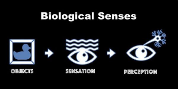 融合AI的传感器:人类制造虚拟现实的关键一环