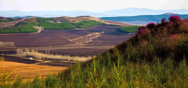 游戏变革者,集结在5G边缘