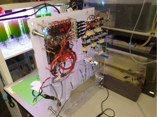 麦当劳跟可口可乐开卖可乐鸡翅;农夫山泉新推出含锂水;阳光也能“变成”好吃的鱼 | 一周消费新闻Vol.41