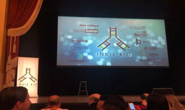 吃了能长寿的食物、能吃的塑料袋、还有能发电的剩菜?硅谷热门孵化器都孵化了啥?