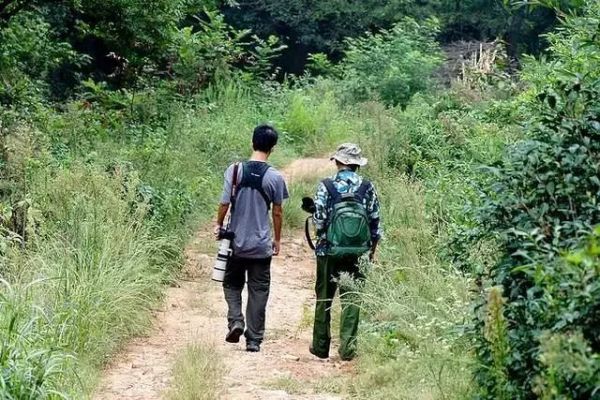 让一群脑洞清奇的开发者告诉你,AI+产业的N种可能