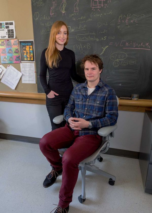 高薪挖“神经科学家”，苹果、谷歌想从动物身上汲取AI灵感