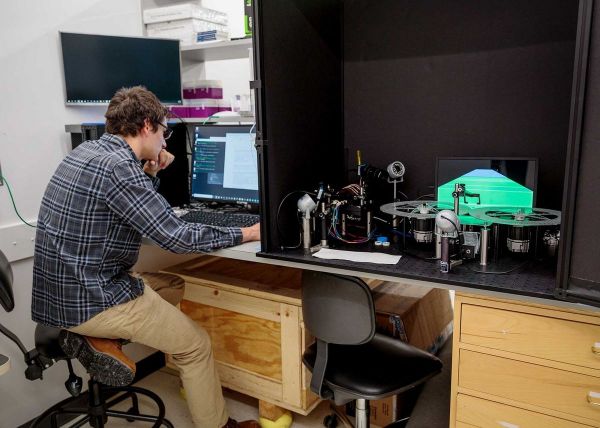 高薪挖“神经科学家”，苹果、谷歌想从动物身上汲取AI灵感