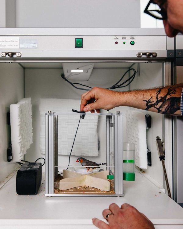 高薪挖“神经科学家”，苹果、谷歌想从动物身上汲取AI灵感